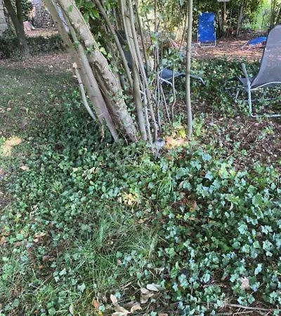 Apartmán Ardeche Les Vans Le Puech Gites *