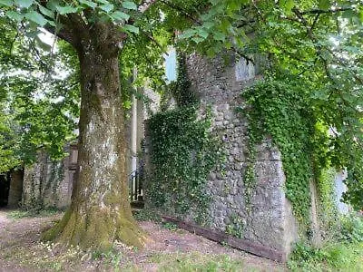 Ardeche Les Vans Le Puech Gites Apartmán Chambonas